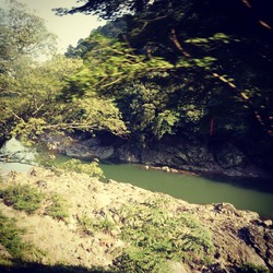 IMG_20140715_161444 (1)